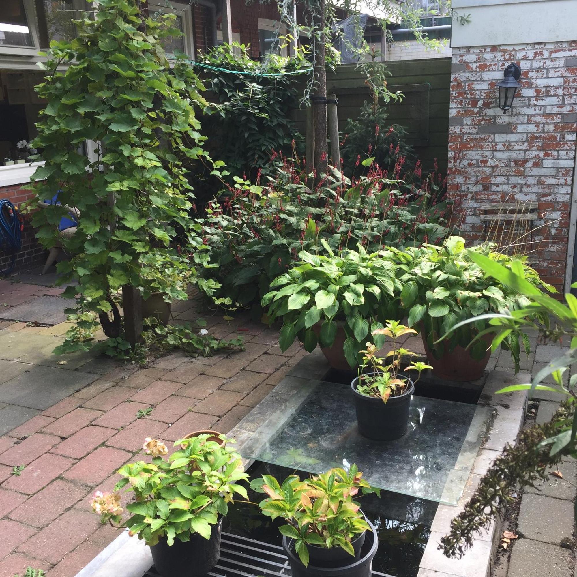Cessinas Panzió Groningen Kültér fotó
